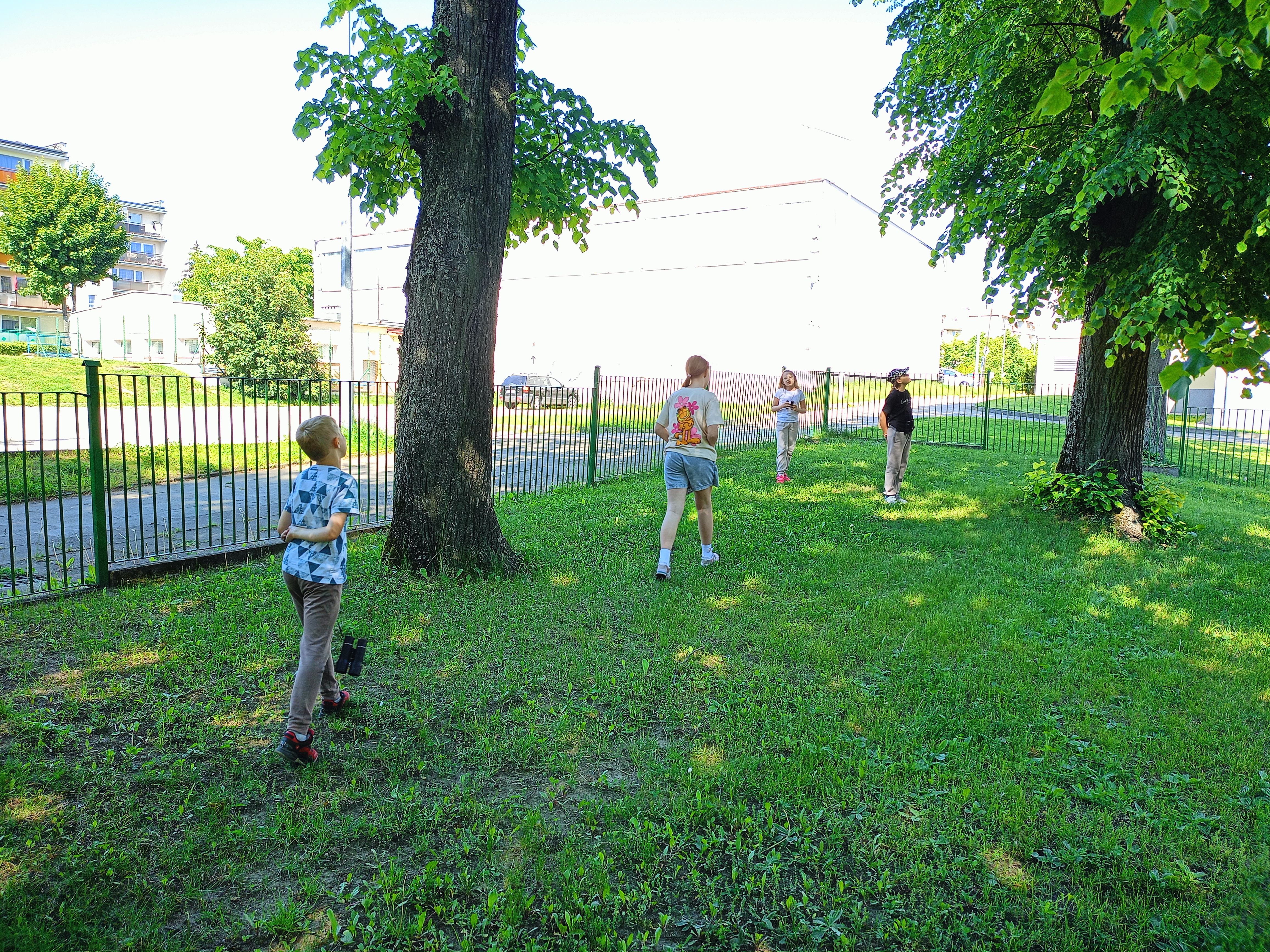 IMG20250527152007